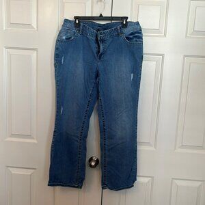 Lane Bryant Boot Cut Jeans